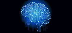 Home 2 - Cerebro digital