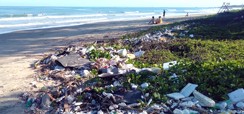 Home 2 - Cidades, praias e poluição marinha