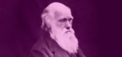 Home 2 - Conversas Darwinianas - 5º encontro