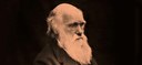 Home 2 - Conversas Darwinianas