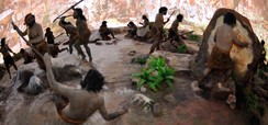 Home 2 - Evolução humana