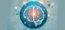 Home 2 - Optimizing Brain Health 