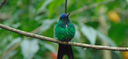 Home 2 - Projeto Biota