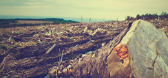 Home 2 - Reforma licenciamento ambiental