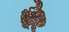 Home 2 - Microbiome