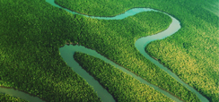 Home 2 - Urbansus 40 Anos da Lei da Política Nacional de Meio Ambiente