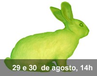 Home 3 - A Coelha e eu