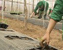 Home 3 - Agricultura