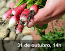 Home 3 - Agroecologia 