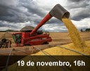 Home 3 - Agronegócio