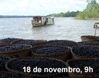 Home 3 - Bioeconomia da Amazônia
