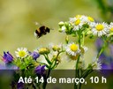 Home 3 - Chamada Biota
