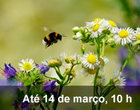 Home 3 - Chamada Biota