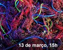 Home 3 - Complexidade