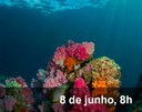 Home 3 - Degradação dos oceanos