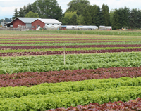 Home 3 En - Agroecologia