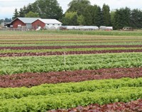 Home 3 En - Agroecologia