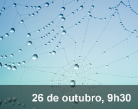Home 3 - Fluir de paradoxos