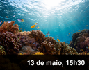 Home 3 - Forúm de Sustentabilidade dos Oceanos Home 3 - Forúm de Sustentabilidade dos Oceanos