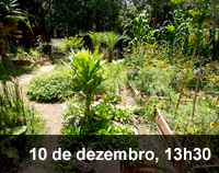 Home 3 - hortas urbanas