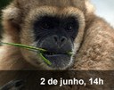 Home 3 - Muriqui