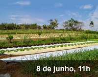 Home 3 - Nexo - Água - 2º encontro