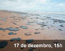 Home 3 - Óleo no Nordeste