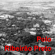 Home Polo Ribeirão Preto
