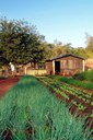 Home agroecologia