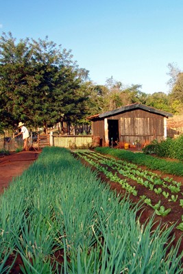 Home agroecologia