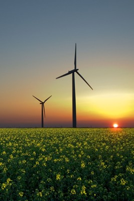 Home Energia limpa