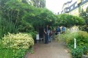 Horta Berlim - 2