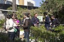 Horta Faculdade de Medicina