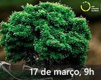 Impacto das Ciências Ambientais na Agenda 2030
