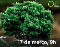 Impacto das Ciências Ambientais na Agenda 2030