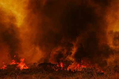 Incêndio no Pantanal