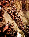 Mineração Mineração