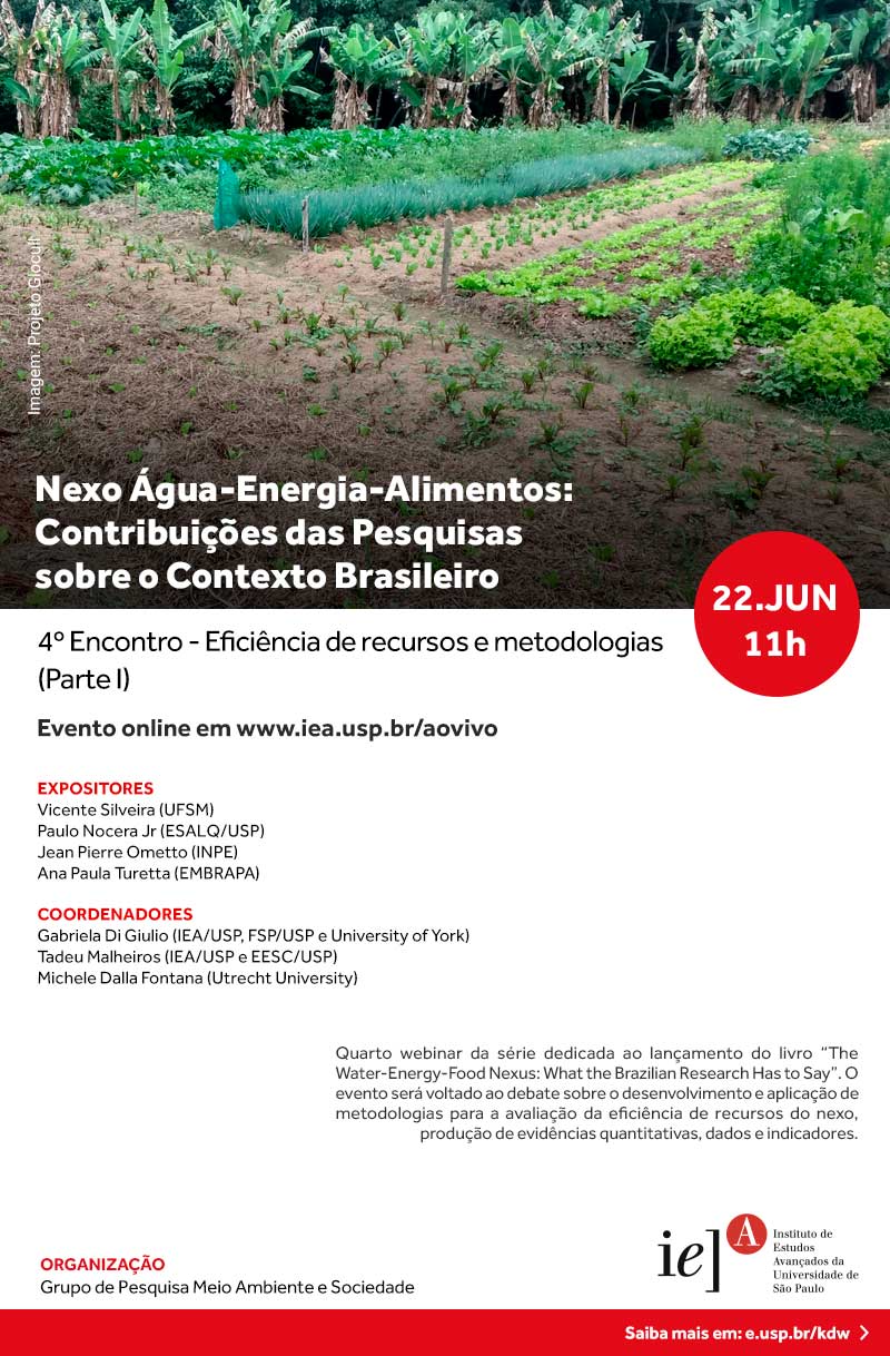 Nexo Água-Energia-Alimentos: Contribuições das Pesquisas sobre o Contexto Brasileiro (Quarto Encontro)