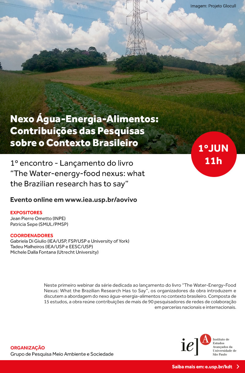 Nexo Água-Energia-Alimentos: Contribuições das Pesquisas sobre o Contexto Brasileiro
