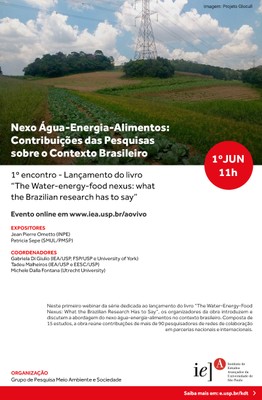 Nexo Água-Energia-Alimentos: Contribuições das Pesquisas sobre o Contexto Brasileiro
