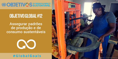 ODS - Objetivo Global 12
