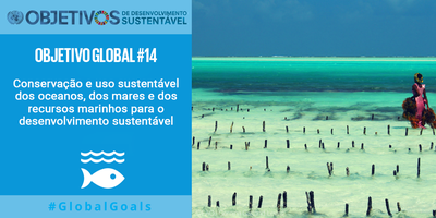 ODS - Objetivo Global 14