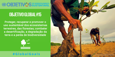 ODS - Objetivo Global 15