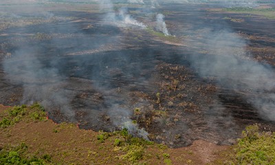 Operação Verde Brasil, Amazonas