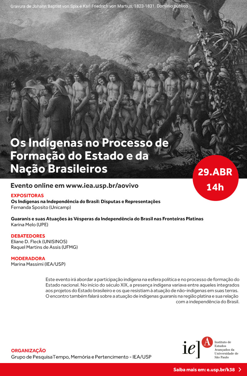 Os Indígenas no Processo de Formação do Estado e da Nação Brasileiros