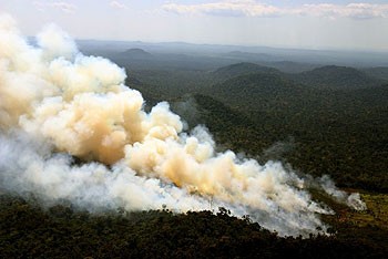 queimada.jpg