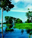 Rio Amazonas