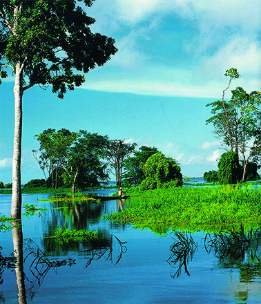 Rio Amazonas