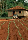 Segurança alimentar Segurança alimentar