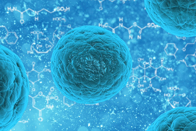 Stem cell